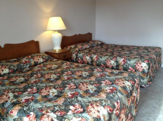 Lotus Motel Cobourg Εξωτερικό φωτογραφία