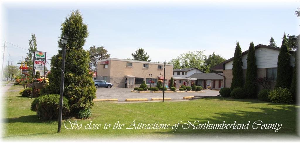 Lotus Motel Cobourg Εξωτερικό φωτογραφία